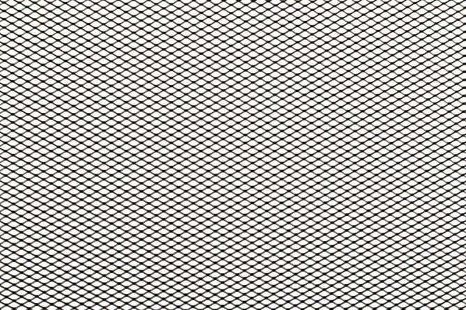 2026_06_19_1500902